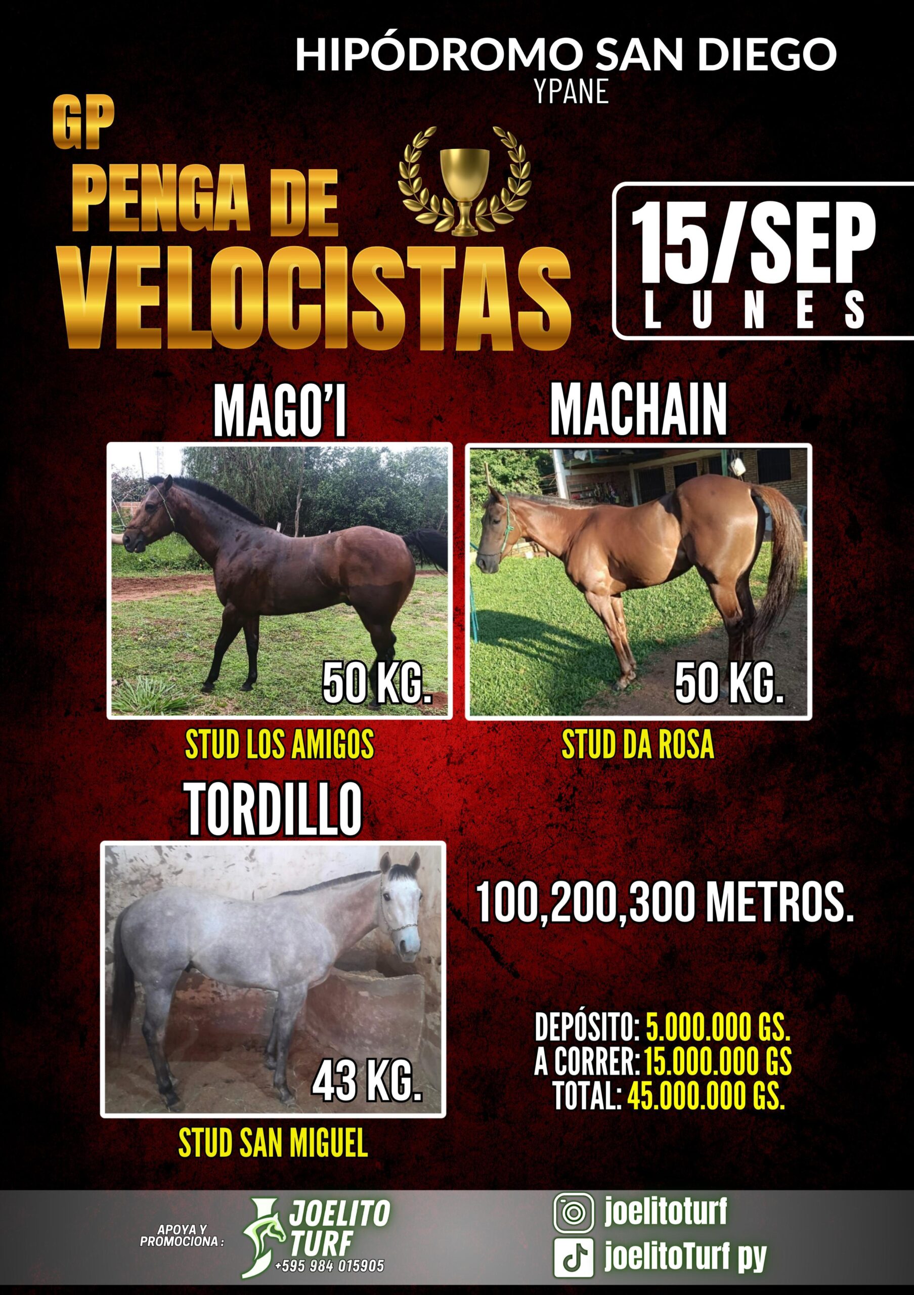 WhatsApp Image 2025-09-15 at 10.37.07