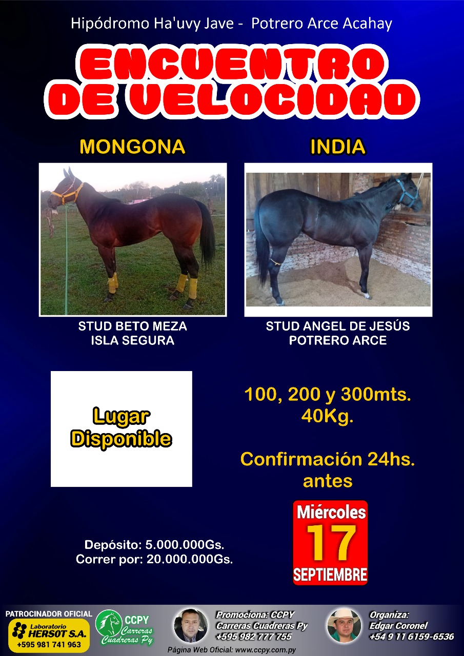 WhatsApp Image 2025-09-15 at 18.20.33 (1)