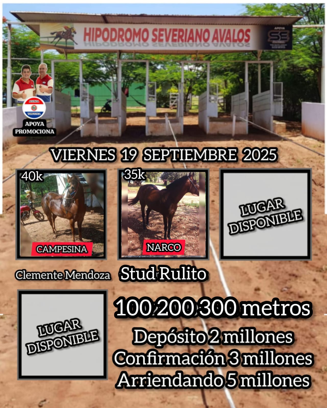 WhatsApp Image 2025-09-16 at 10.38.50