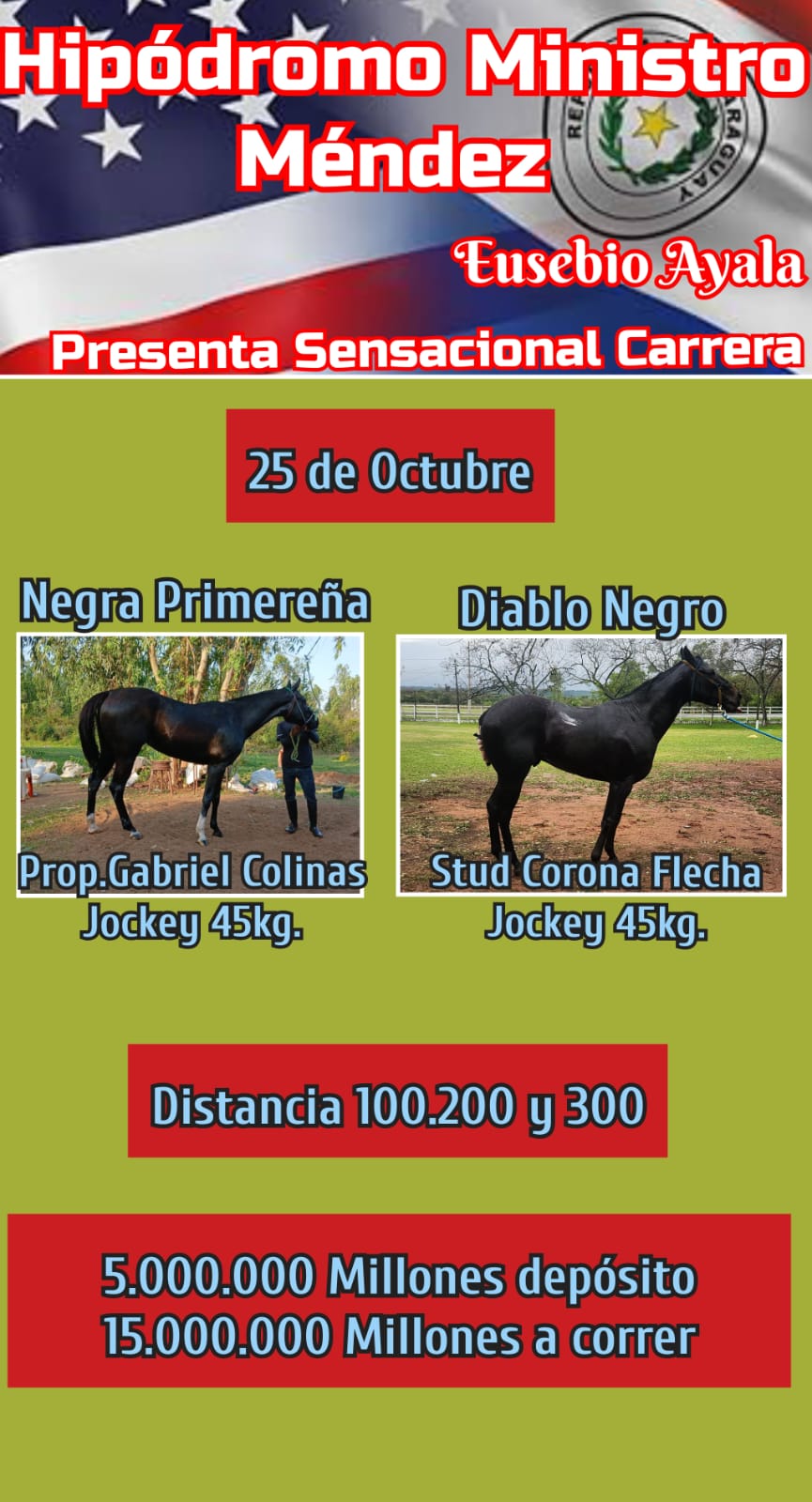 WhatsApp Image 2025-09-16 at 13.33.51