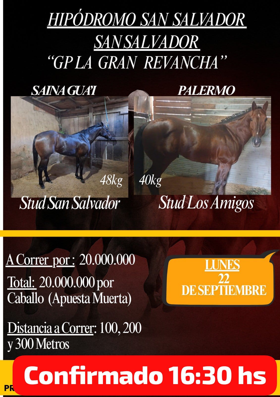 WhatsApp Image 2025-09-22 at 10.56.38