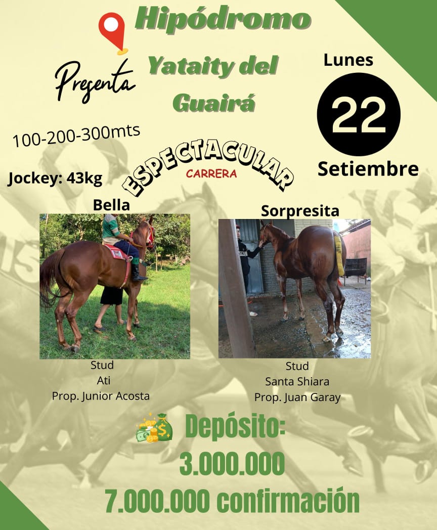 WhatsApp Image 2025-09-22 at 18.25.15