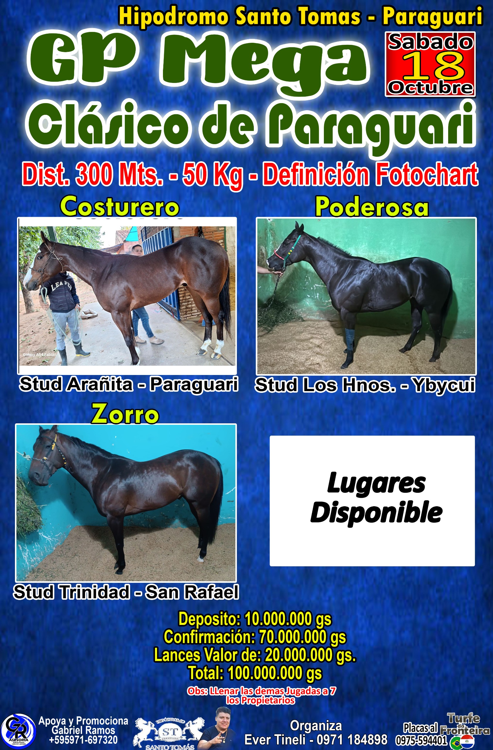 WhatsApp Image 2025-10-12 at 19.16.32