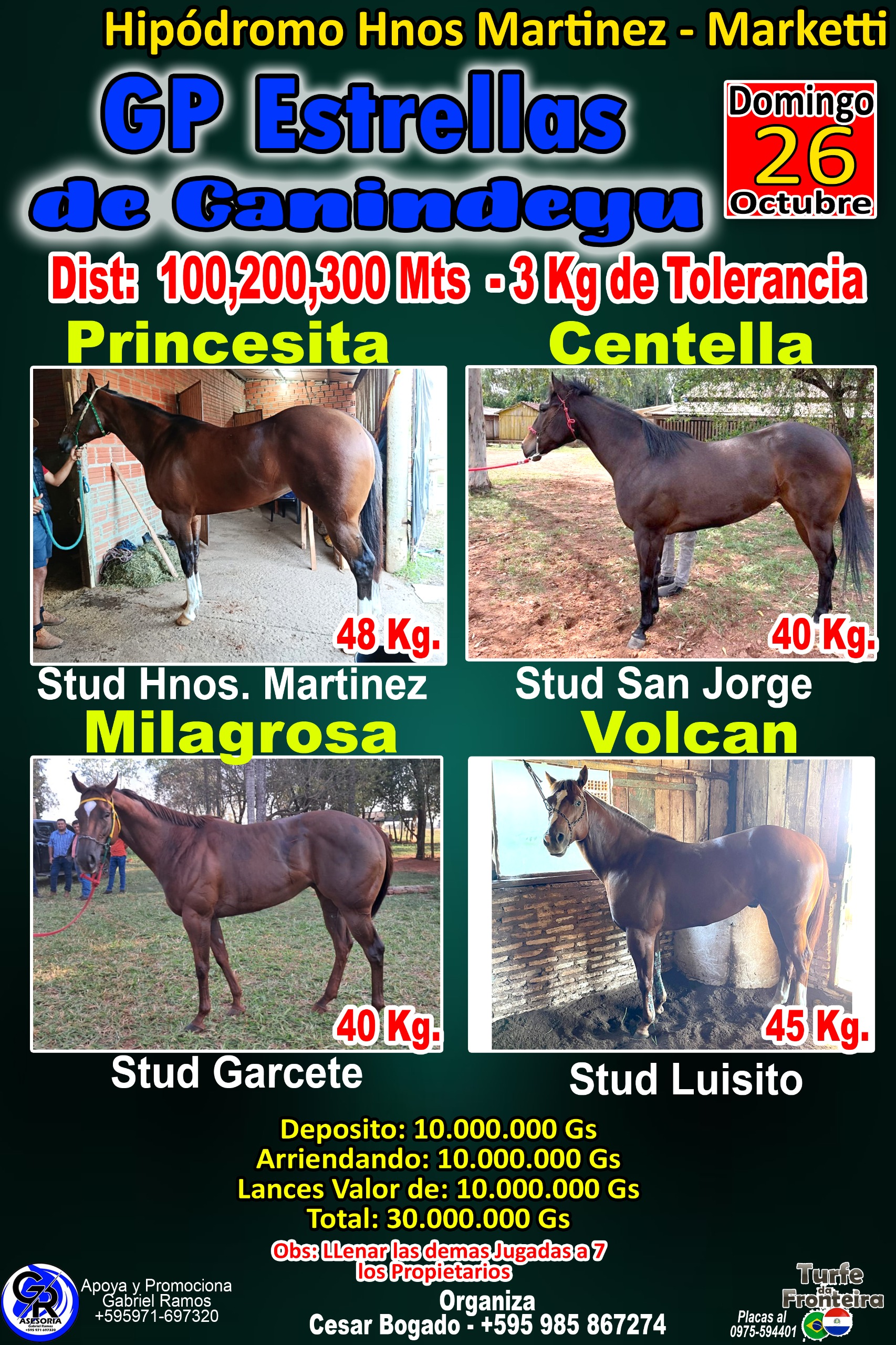 WhatsApp Image 2025-10-13 at 17.51.32