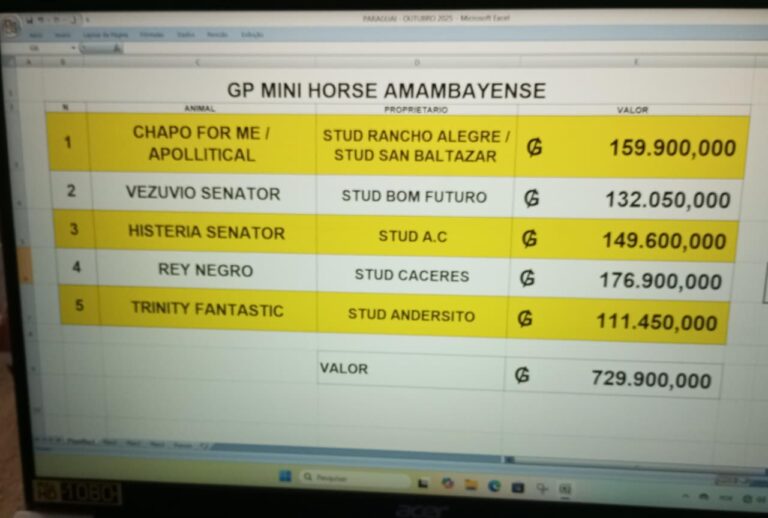 WhatsApp Image 2025-10-30 at 23.31.14