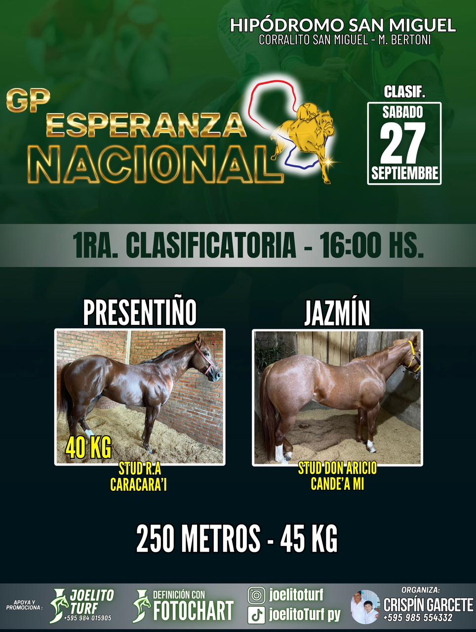 WhatsApp Image 2025-09-27 at 08.19.50