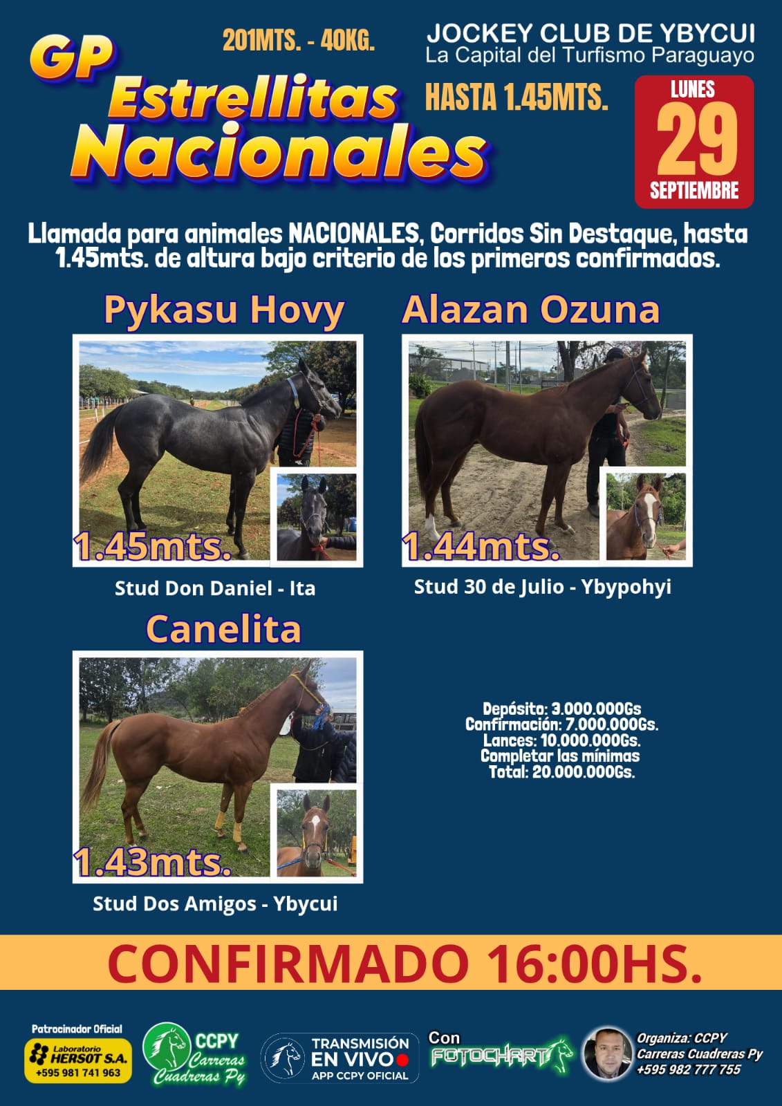 WhatsApp Image 2025-09-28 at 17.18.29