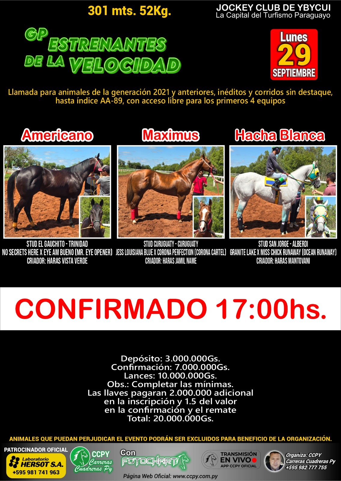 WhatsApp Image 2025-09-28 at 19.19.39