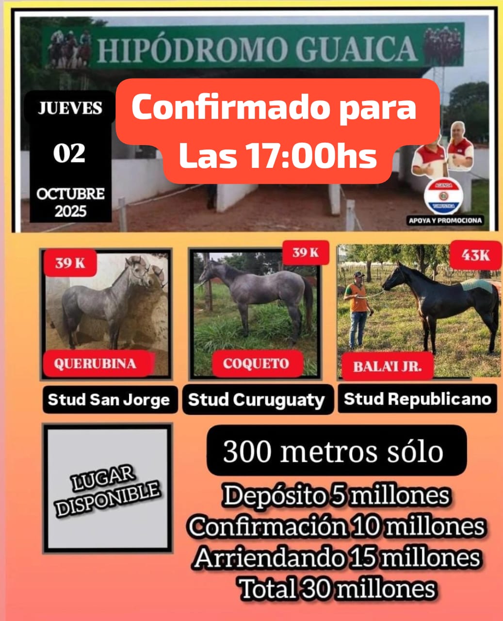 WhatsApp Image 2025-10-02 at 06.36.03 (1)