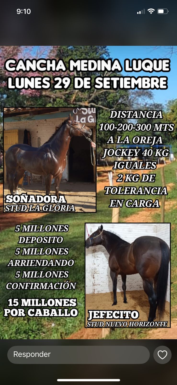 WhatsApp Image 2025-10-02 at 13.26.23