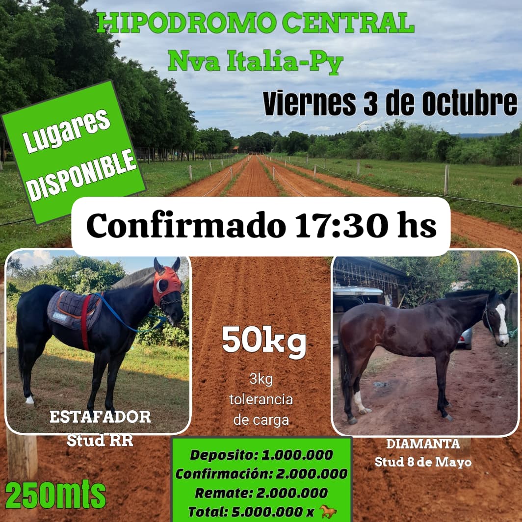 WhatsApp Image 2025-10-02 at 18.29.01 (1)