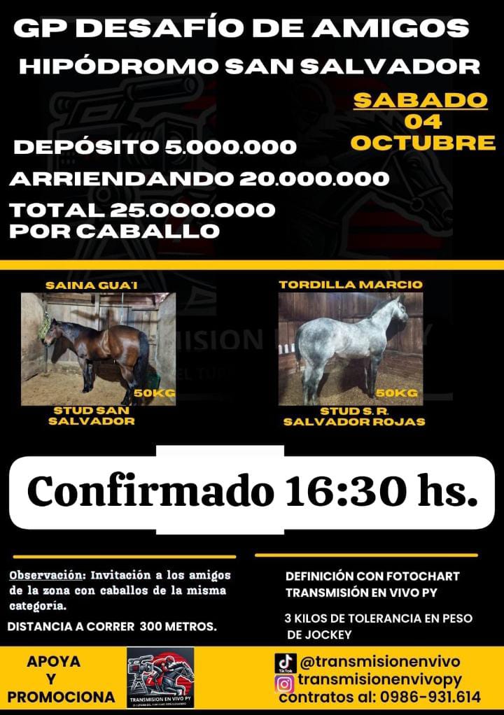 WhatsApp Image 2025-10-03 at 13.11.42