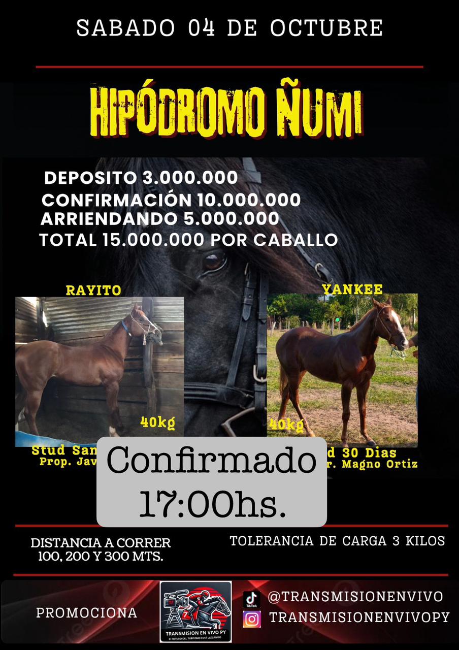 WhatsApp Image 2025-10-03 at 13.18.25 (1)