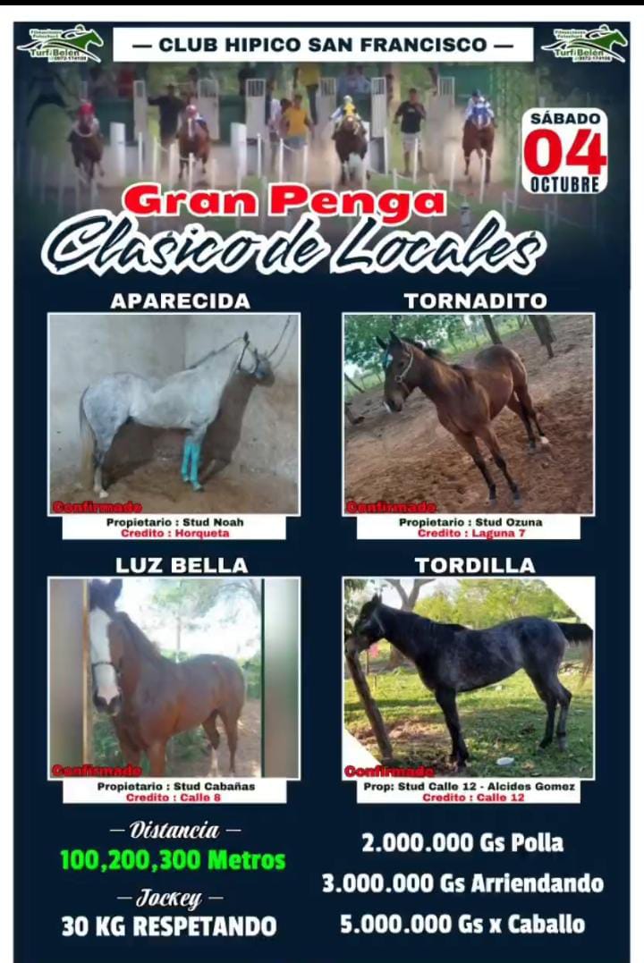 WhatsApp Image 2025-10-03 at 15.26.42