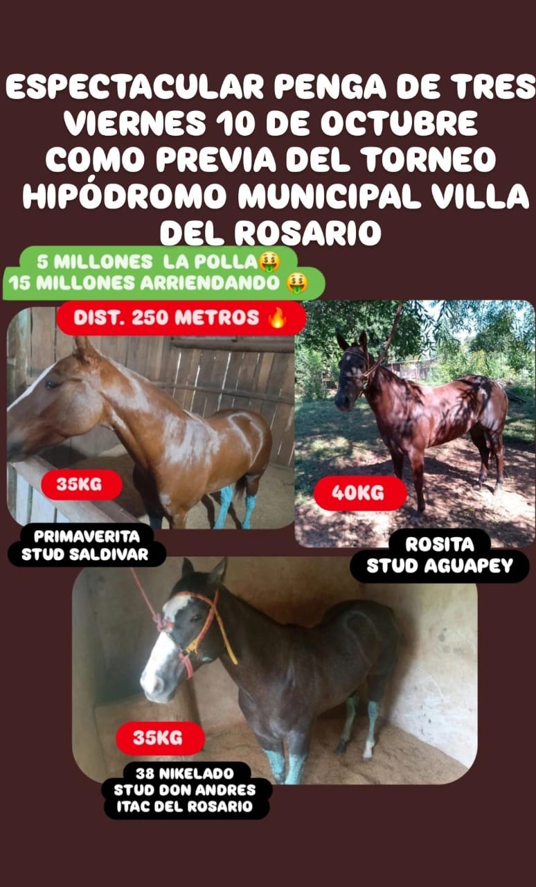 WhatsApp Image 2025-10-07 at 13.00.54