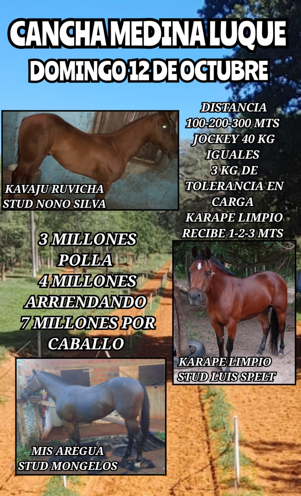 WhatsApp Image 2025-10-09 at 19.21.02