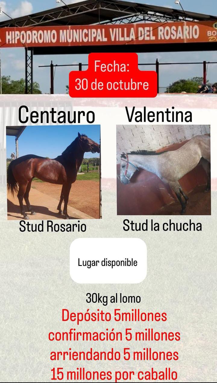 WhatsApp Image 2025-10-15 at 09.32.50 (2)