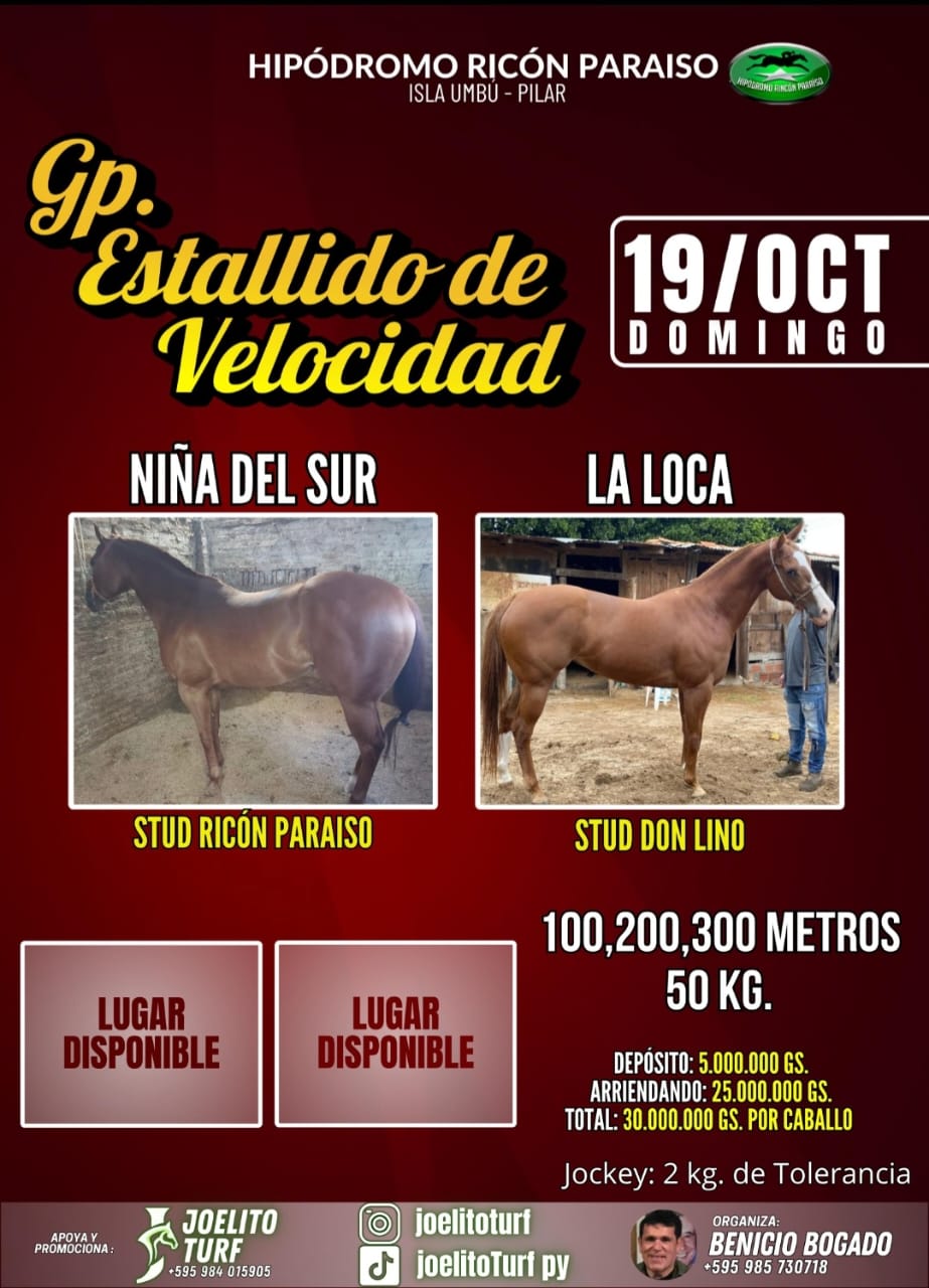 WhatsApp Image 2025-10-15 at 10.07.11