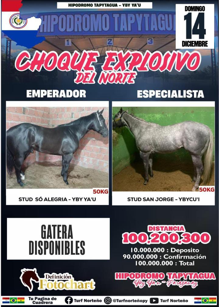 WhatsApp Image 2025-10-15 at 12.56.37