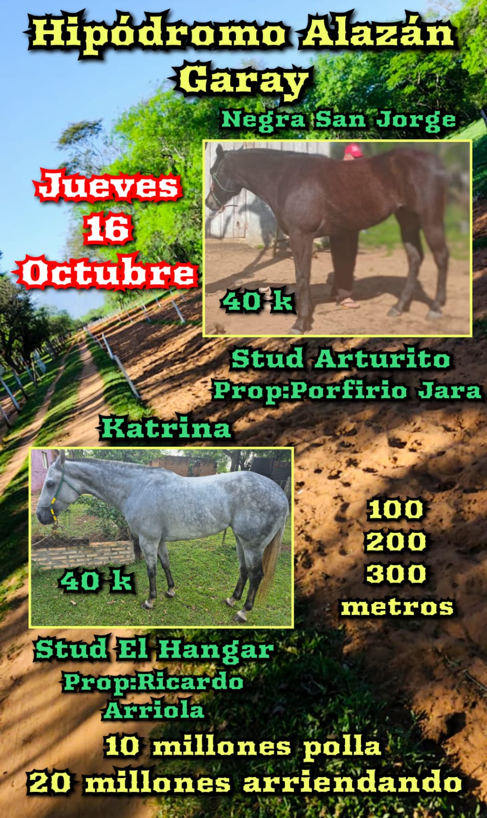 WhatsApp Image 2025-10-15 at 16.14.01