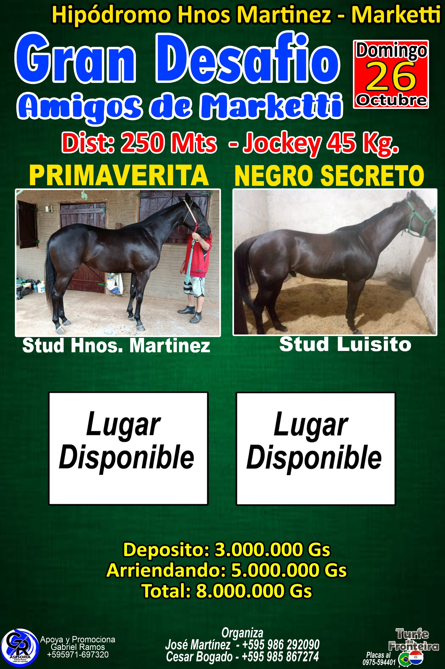 WhatsApp Image 2025-10-15 at 20.00.48