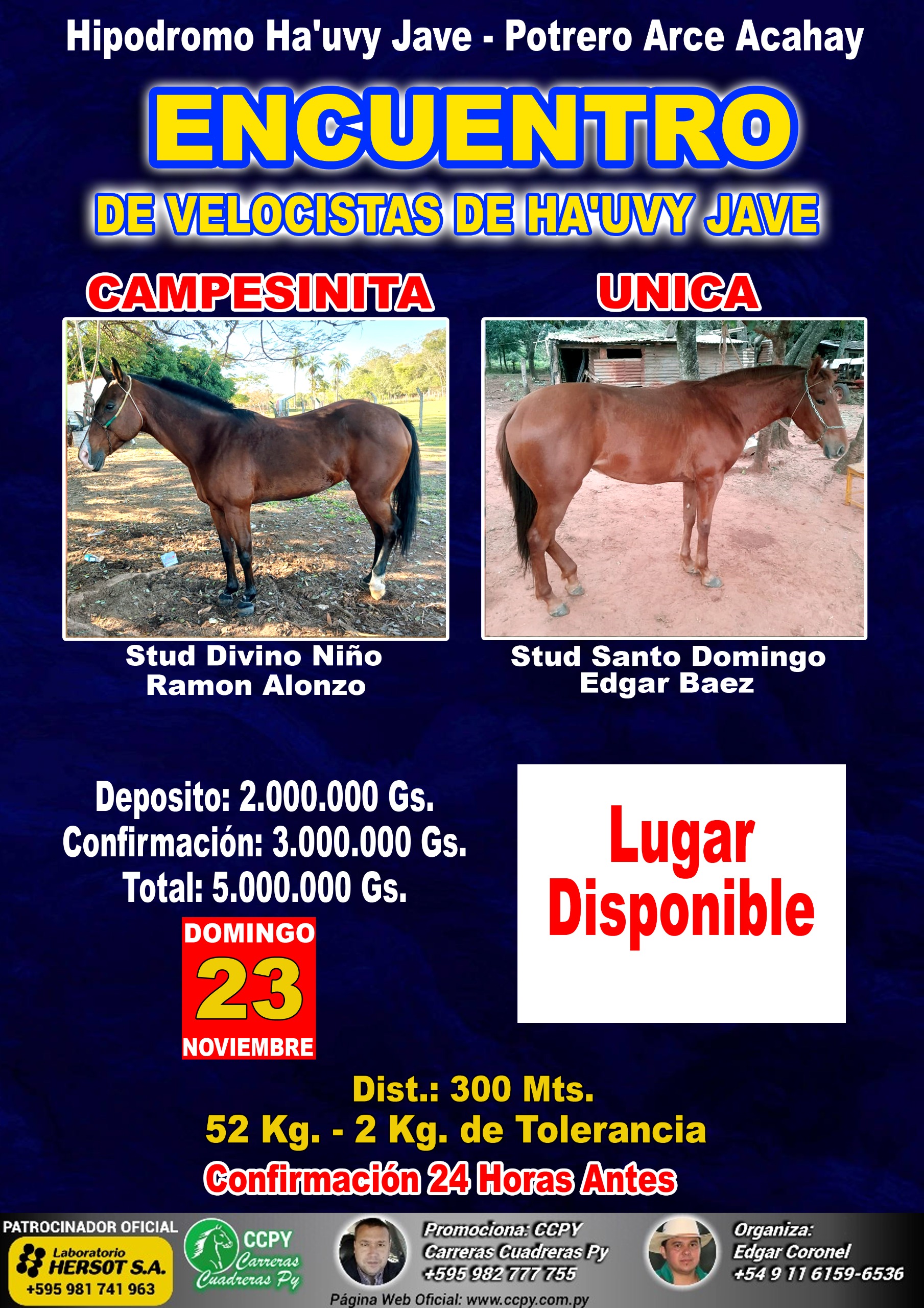 WhatsApp Image 2025-10-20 at 11.46.03