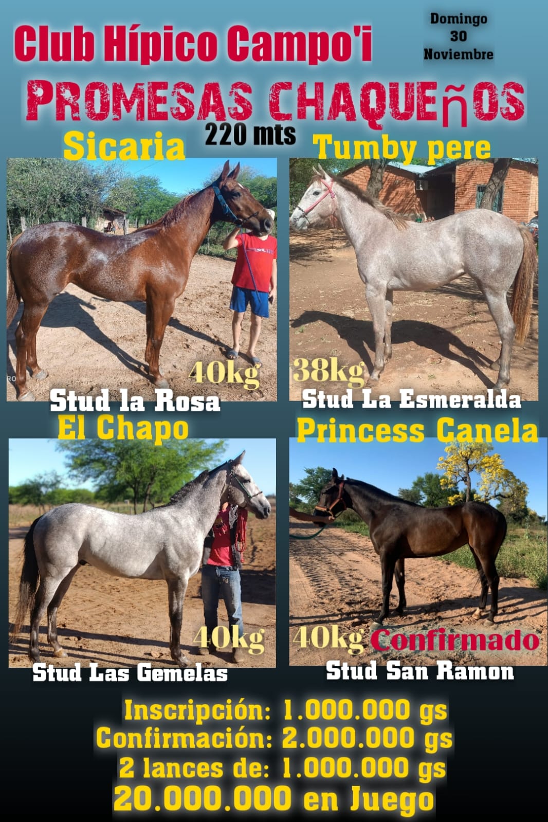 WhatsApp Image 2025-10-21 at 10.04.35