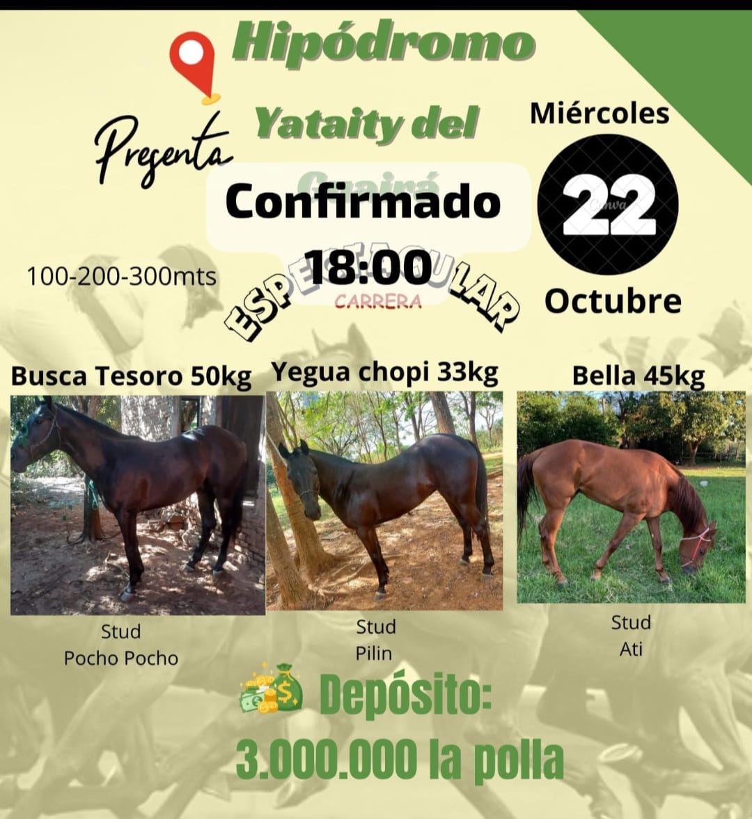 WhatsApp Image 2025-10-21 at 21.13.14