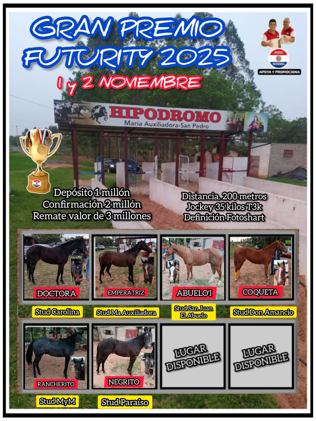 WhatsApp Image 2025-10-21 at 21.24.31