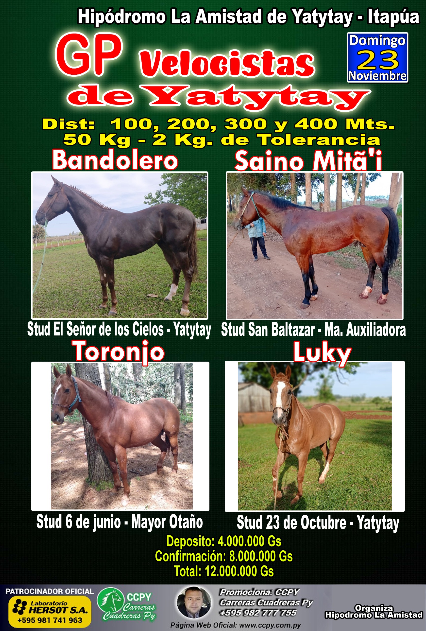 WhatsApp Image 2025-10-24 at 14.12.10