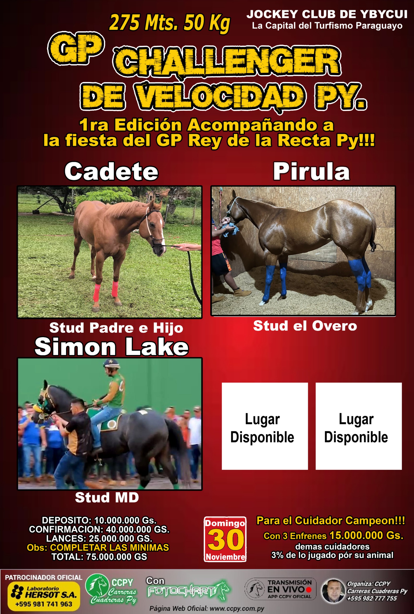 WhatsApp Image 2025-10-27 at 21.02.07 (3)