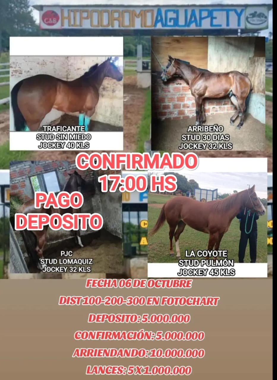 af289612-aa98-400e-9771-43c8051f02d6