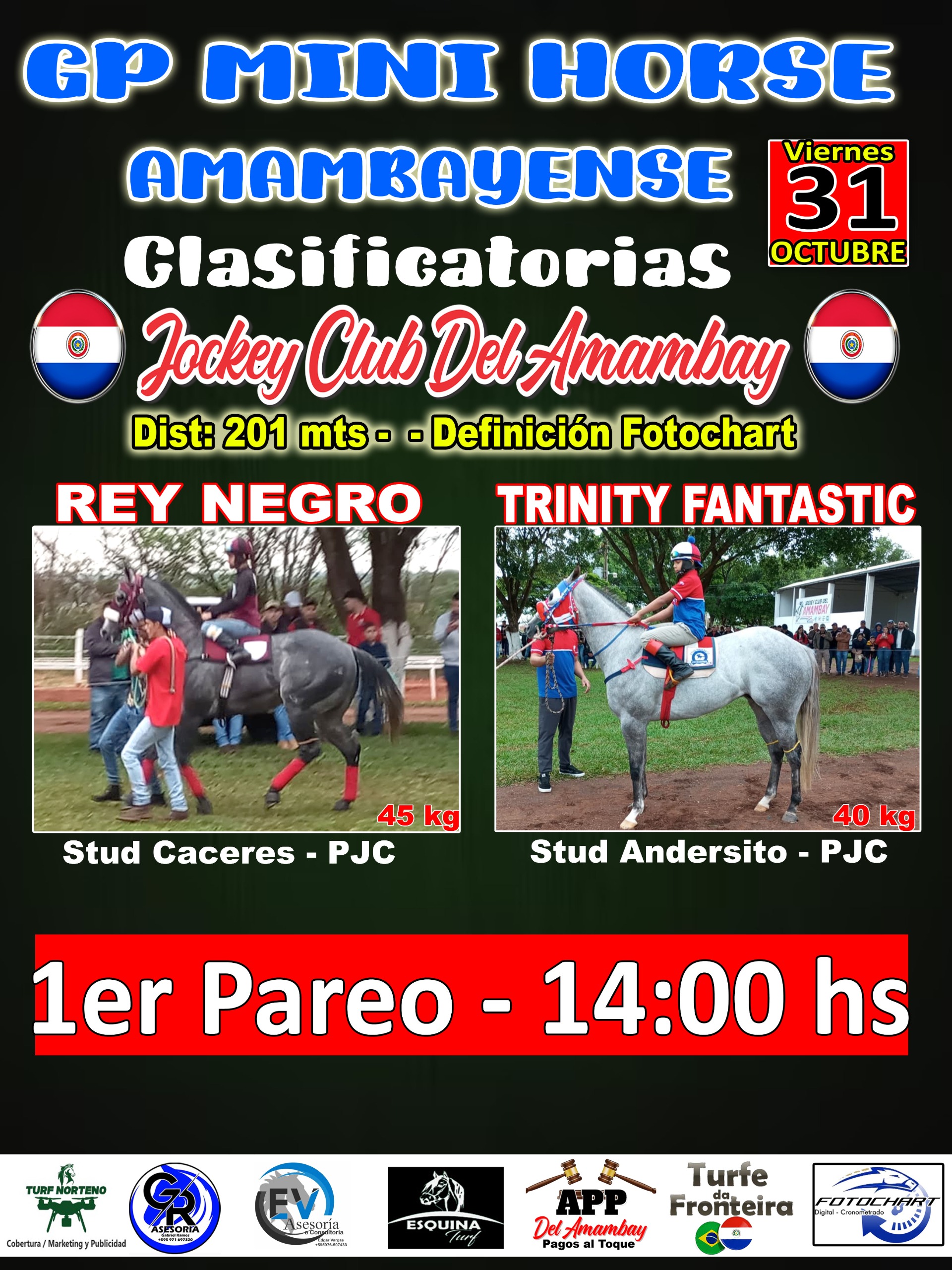 WhatsApp Image 2025-10-31 at 00.32.47