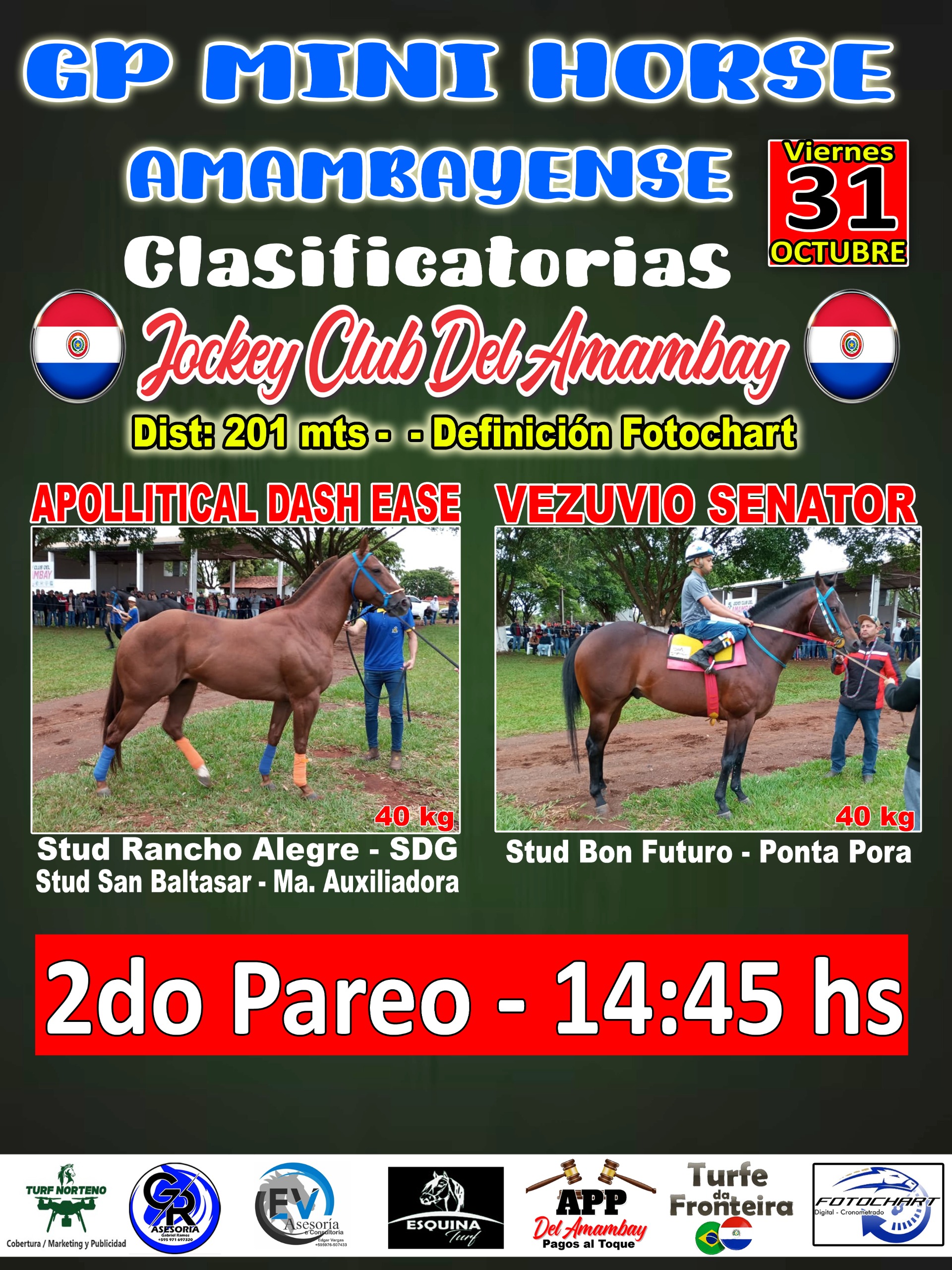 WhatsApp Image 2025-10-31 at 00.32.57