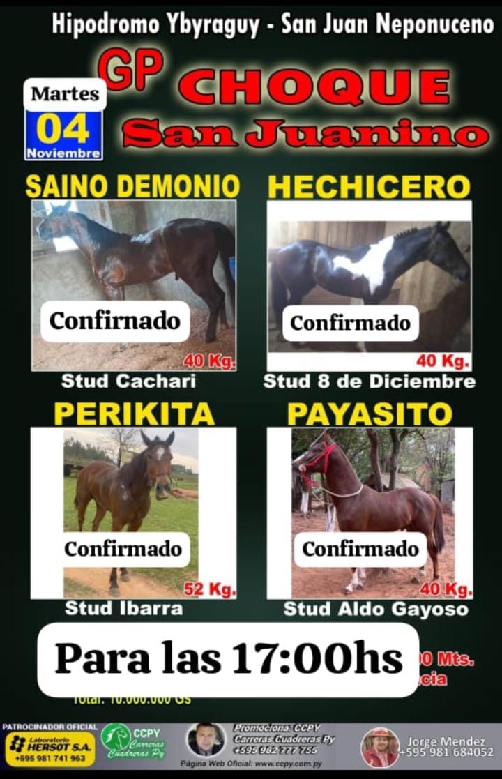 WhatsApp Image 2025-11-03 at 16.09.02