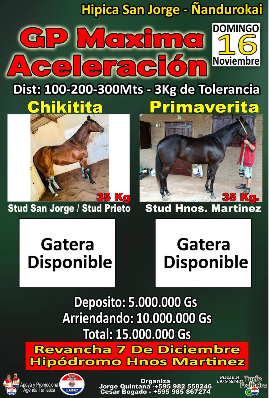 WhatsApp Image 2025-11-06 at 13.31.24 (1)