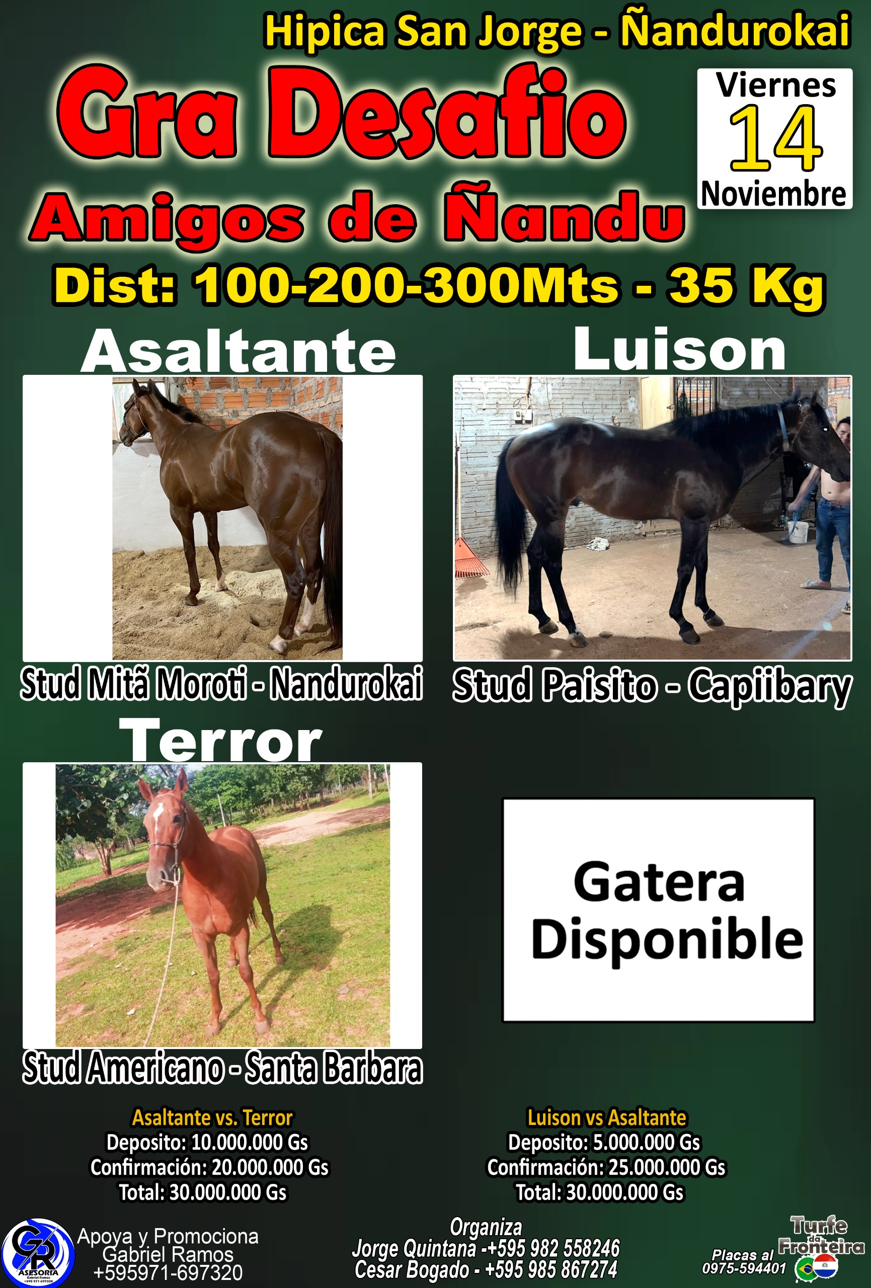 WhatsApp Image 2025-11-06 at 13.31.24