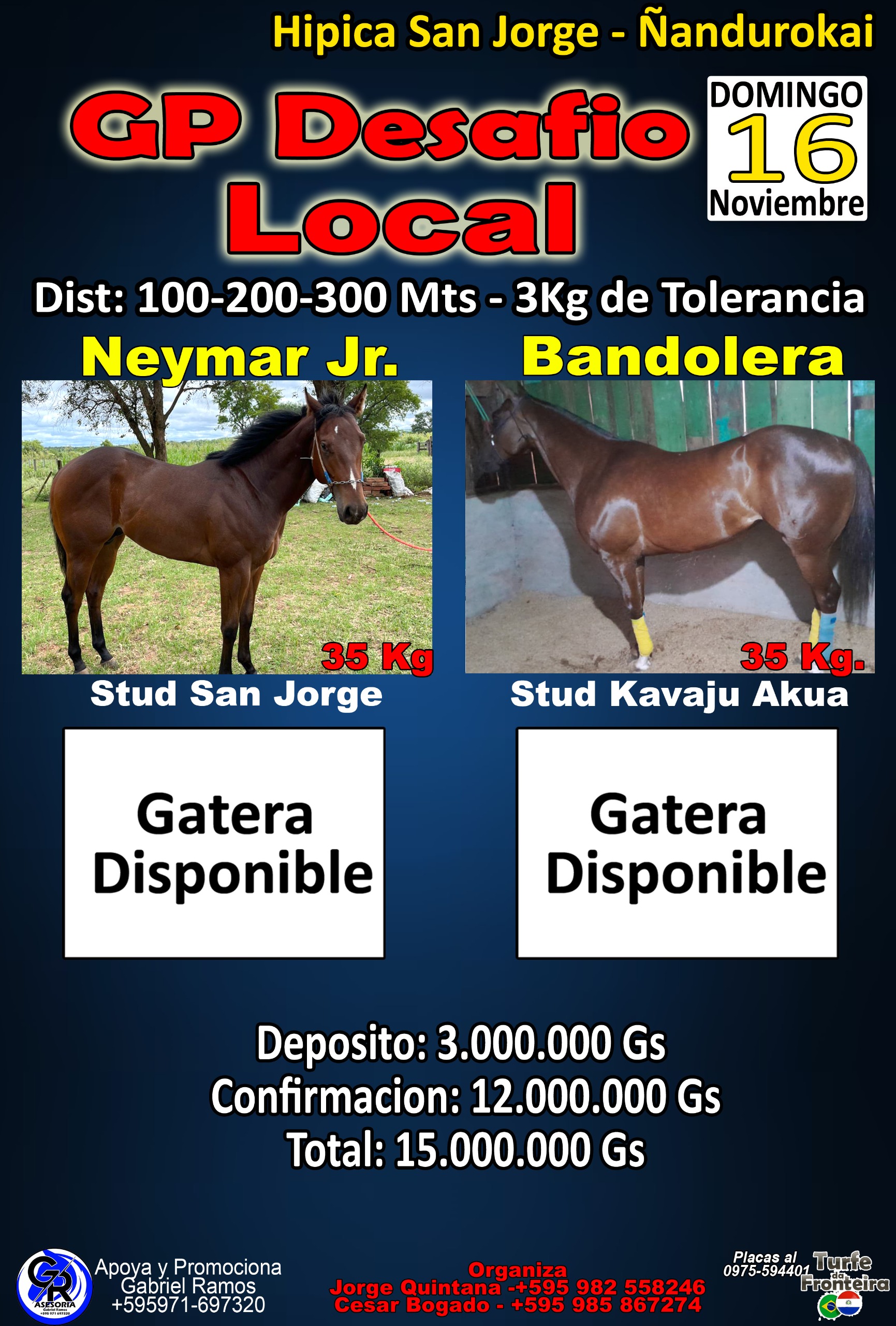 WhatsApp Image 2025-11-08 at 09.59.38