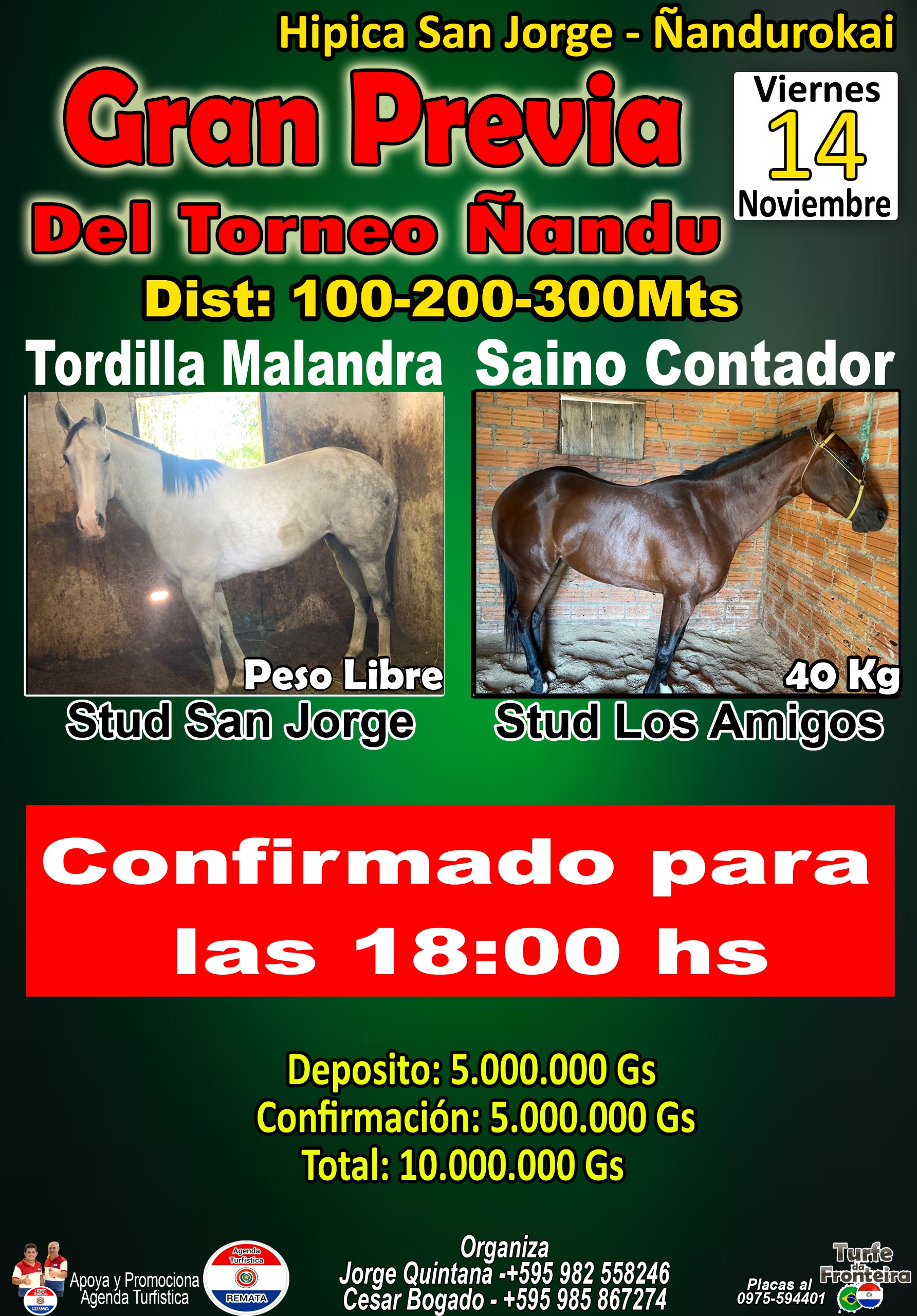 WhatsApp Image 2025-11-12 at 13.26.19