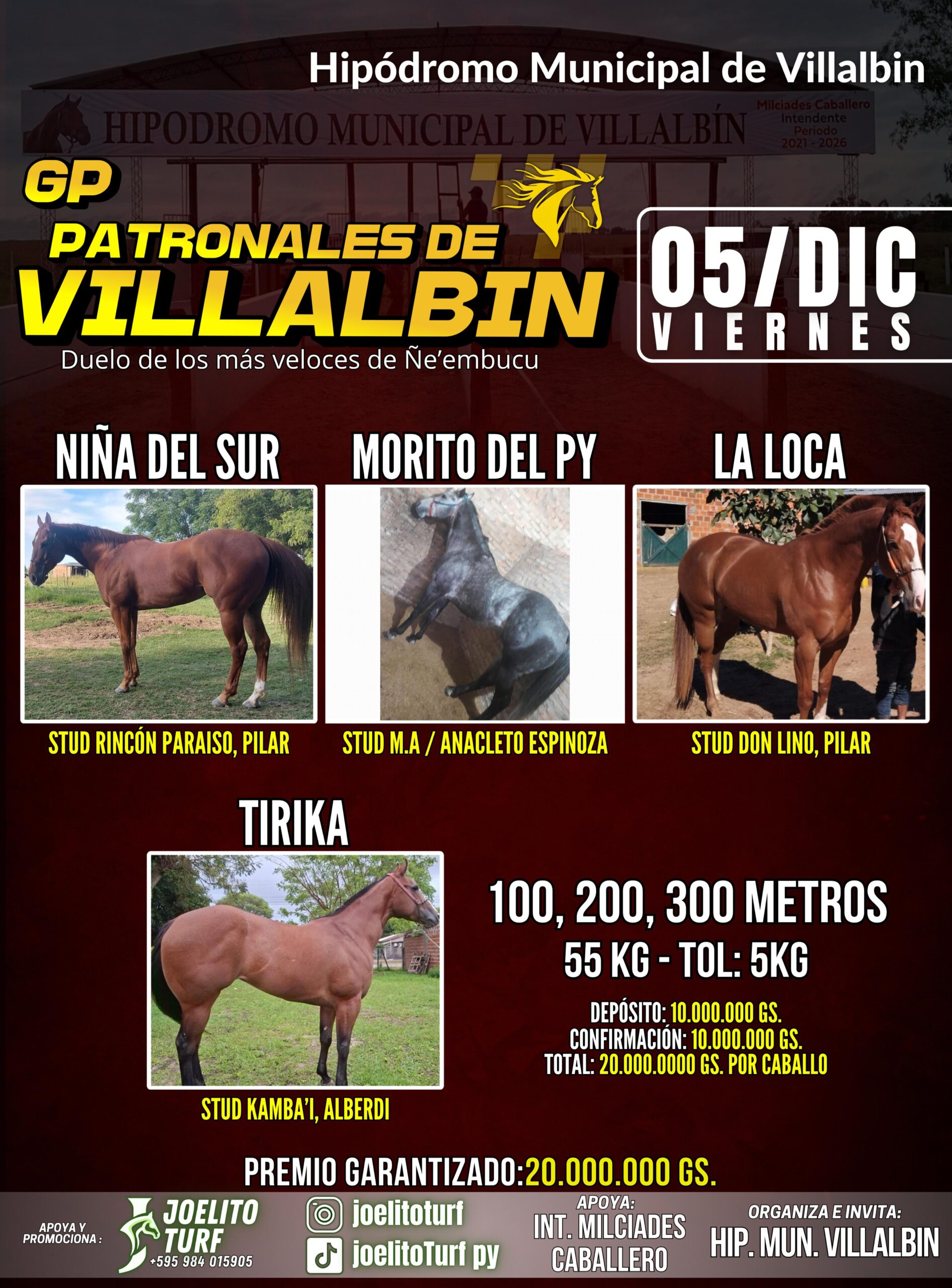 WhatsApp Image 2025-11-15 at 10.52.27