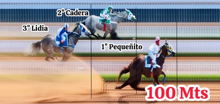 WhatsApp Image 2025-11-16 at 16.28.06