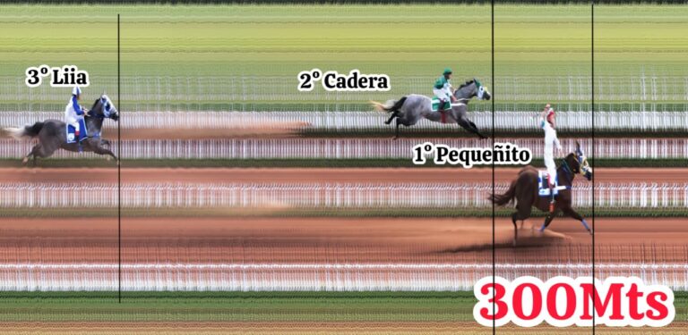 WhatsApp Image 2025-11-16 at 16.28.07 (1)