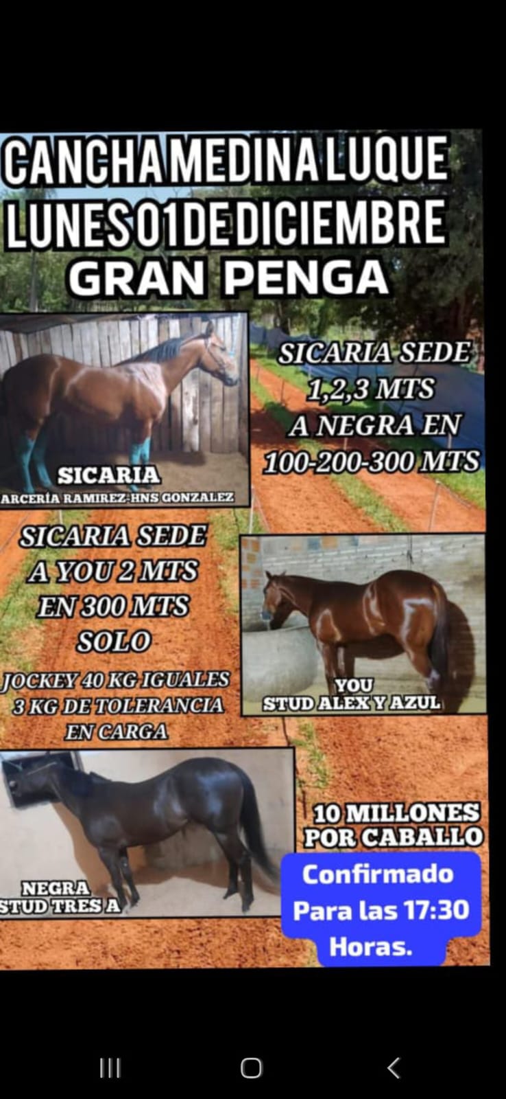 WhatsApp Image 2025-12-01 at 18.33.11