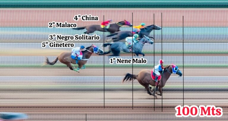 WhatsApp Image 2025-12-02 at 22.08.16