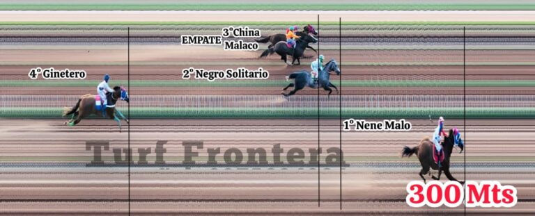 WhatsApp Image 2025-12-02 at 22.08.17 (1)