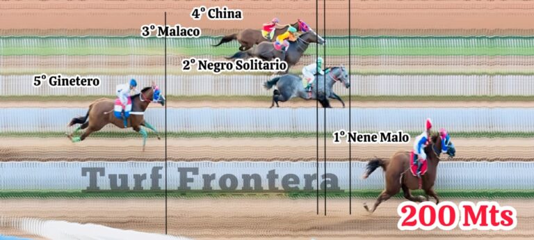 WhatsApp Image 2025-12-02 at 22.08.17