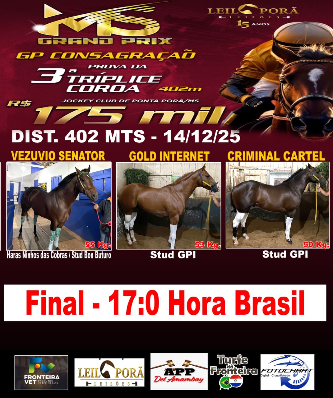 WhatsApp Image 2025-12-13 at 20.45.31