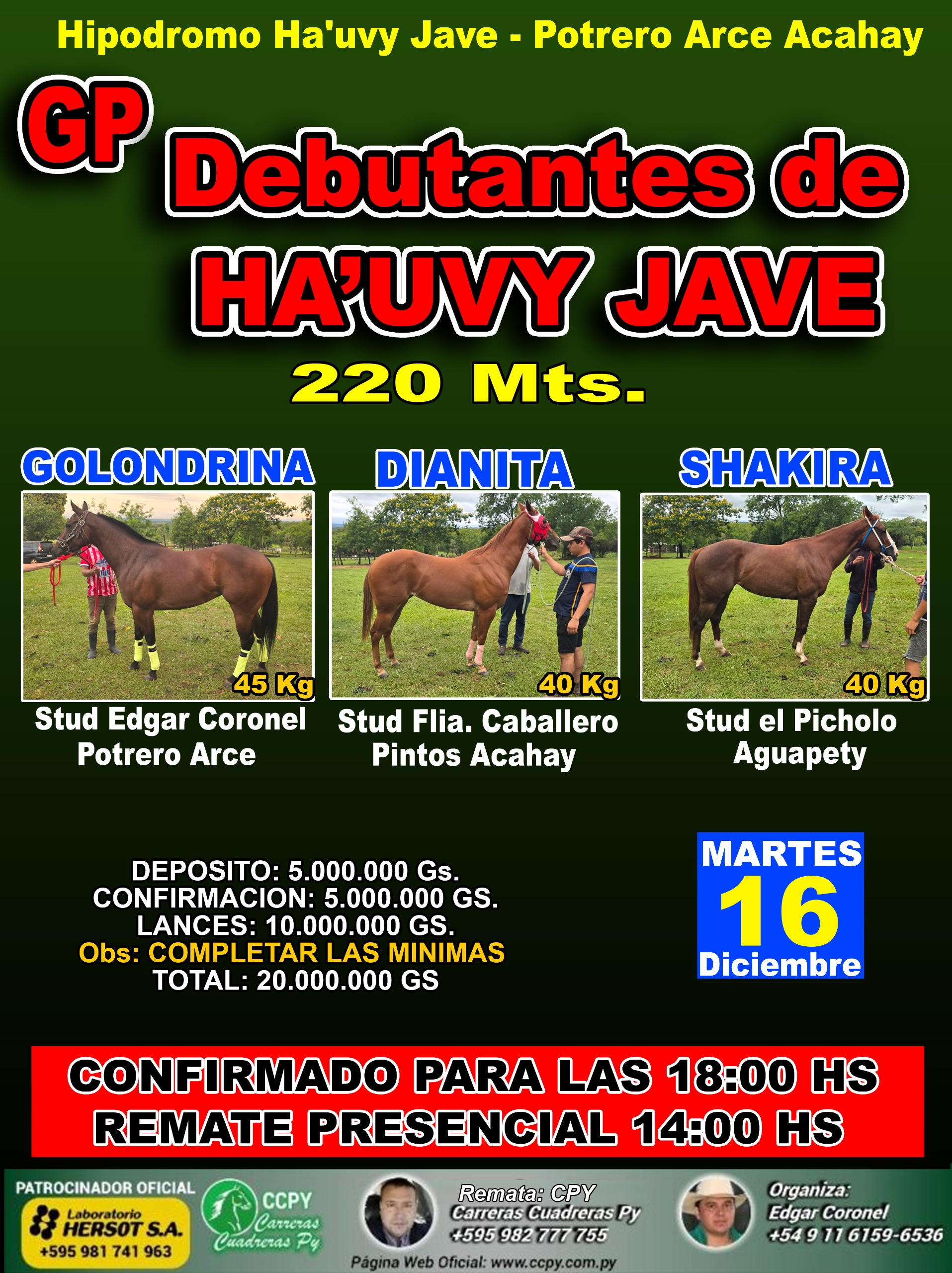 WhatsApp Image 2025-12-15 at 21.32.29