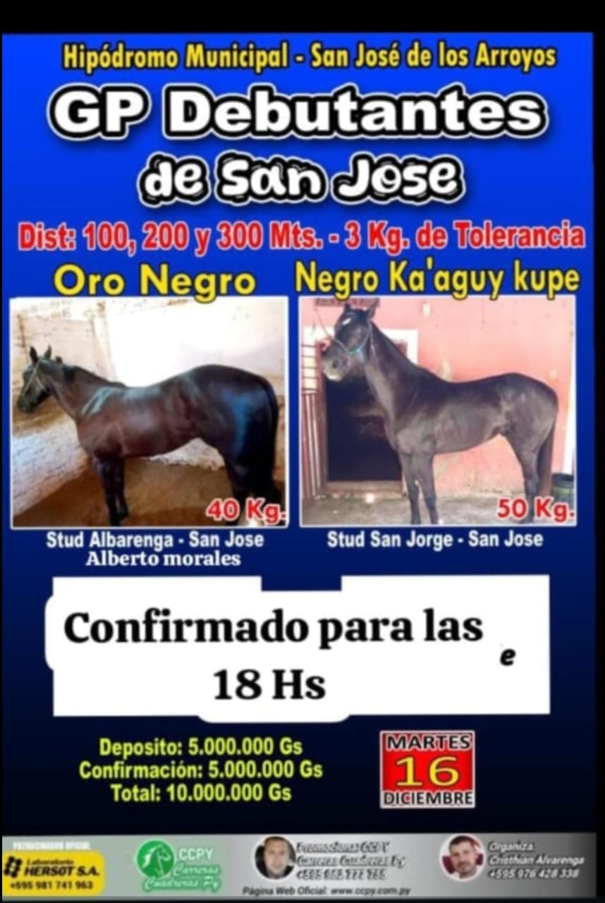 WhatsApp Image 2025-12-16 at 20.20.05