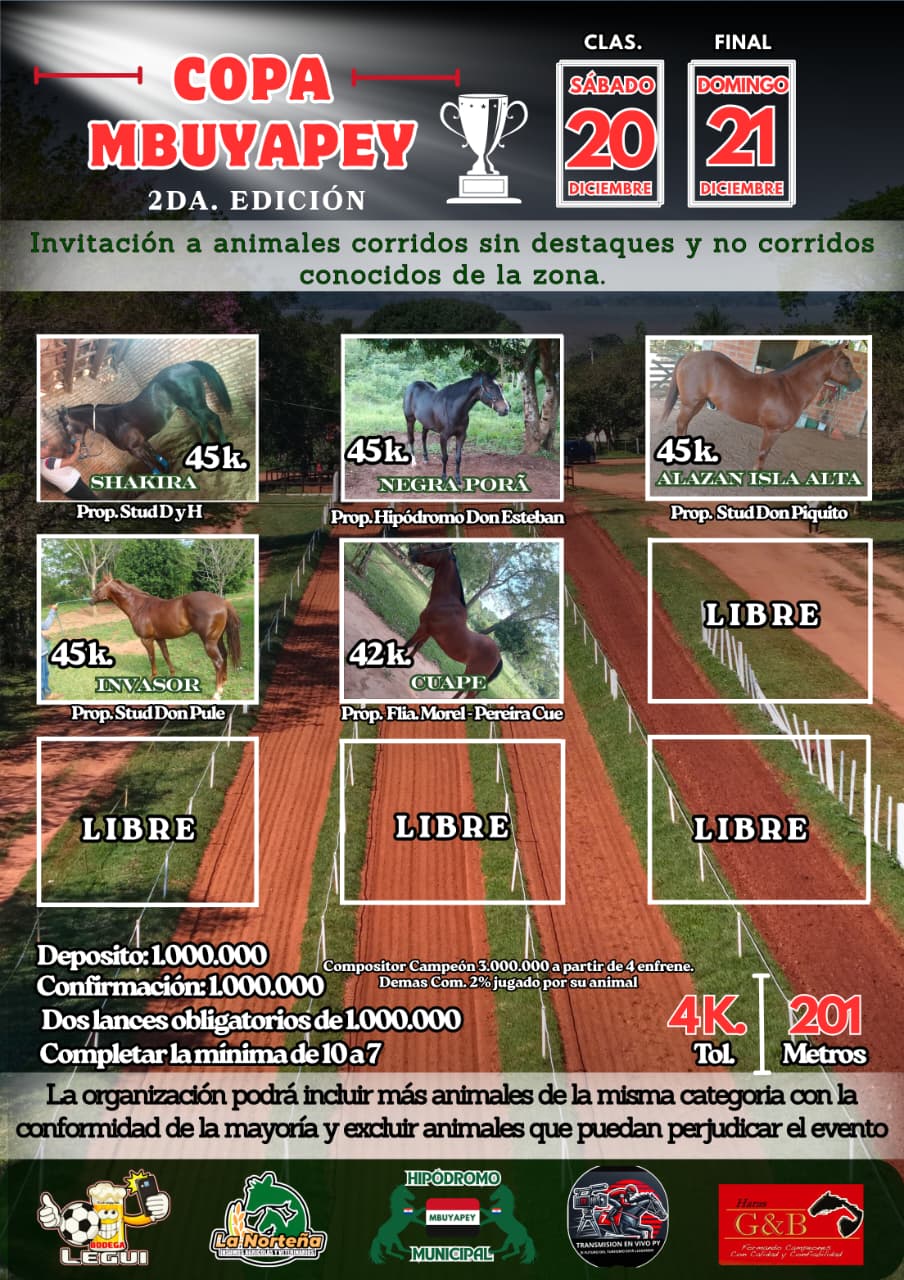 WhatsApp Image 2025-12-17 at 11.37.18 (1)